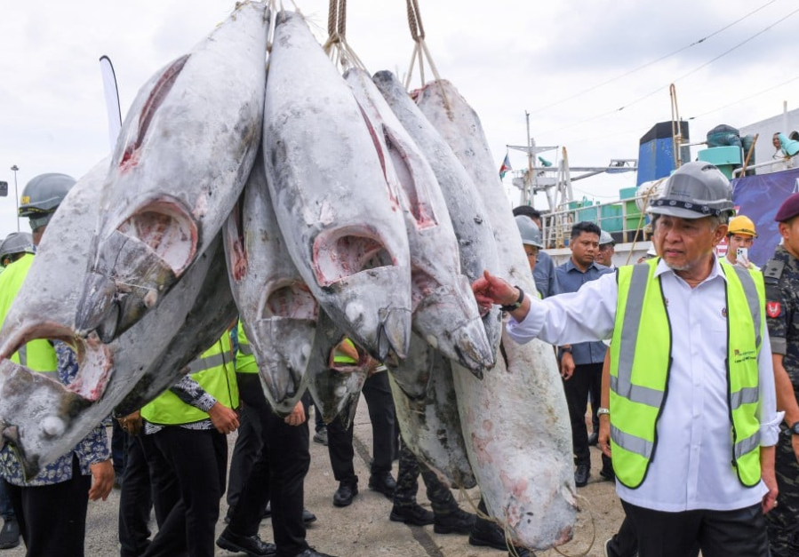 Malaysia berpotensi jadi hab pendaratan tuna ASEAN - Ahmad Zahid