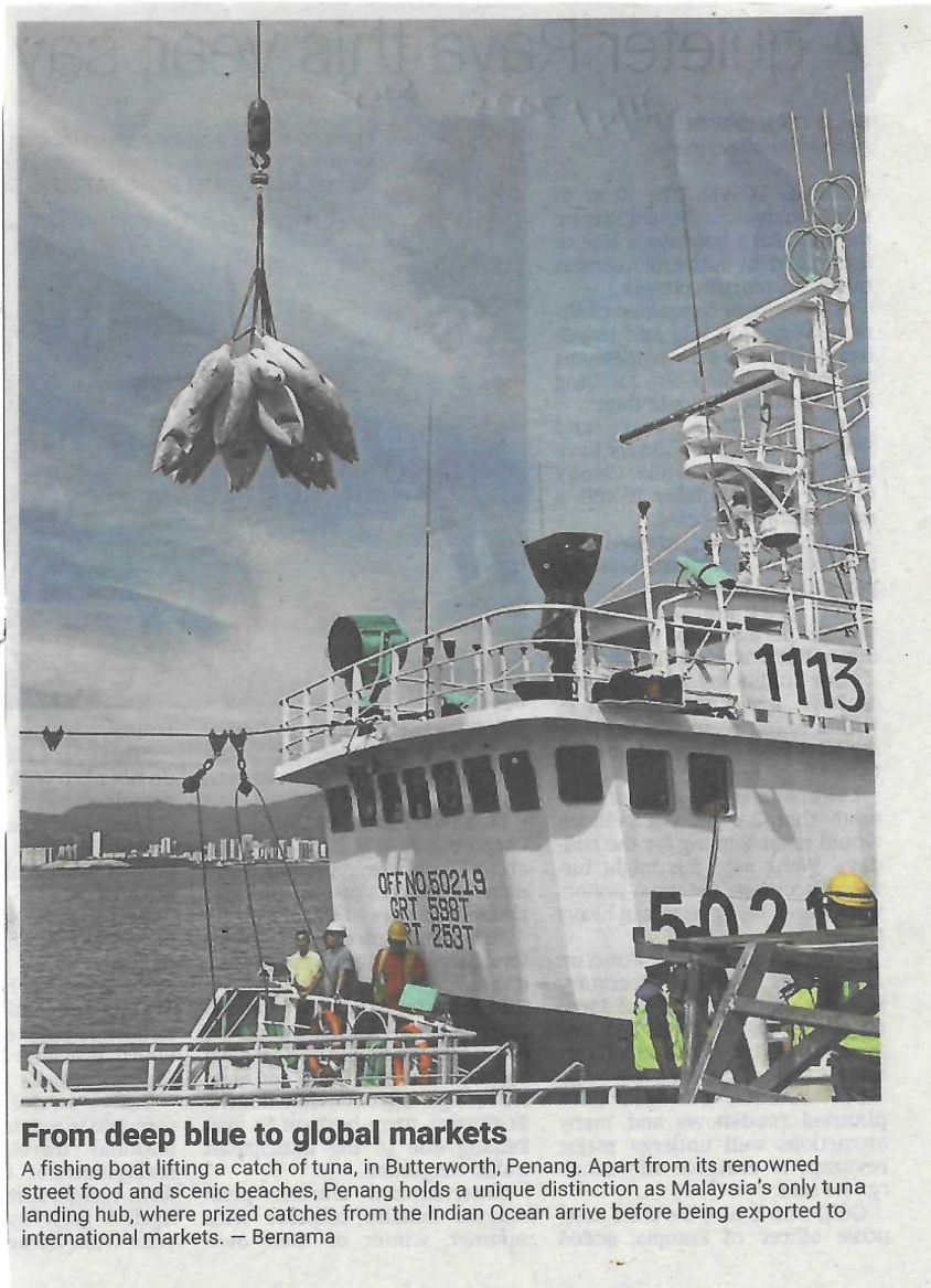 From Deep Blue To Global Markets